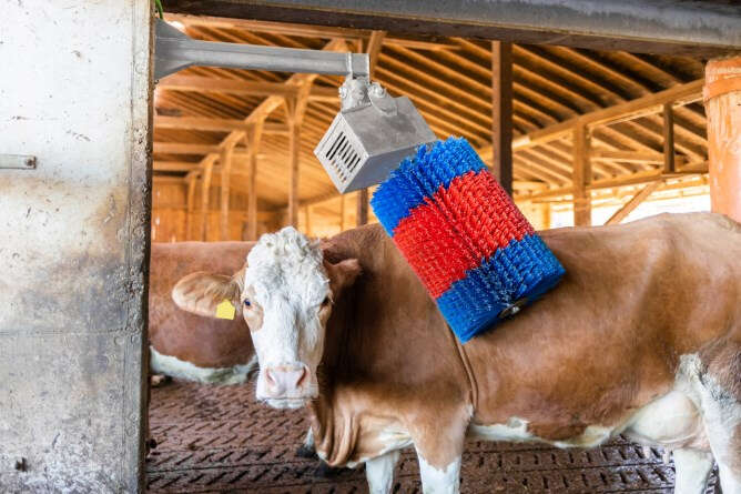 HAPPYCOW Kuhputzmaschine MidiSwing